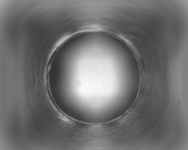 X0000059051477200510100959