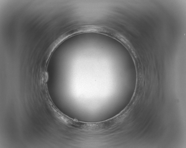 X0000059051481200510100959