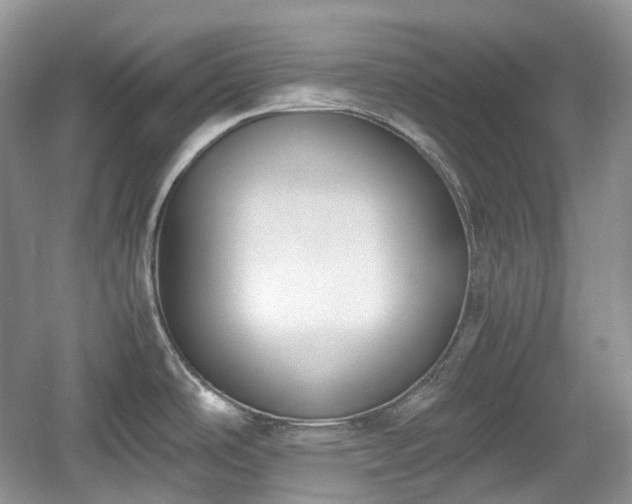 X0000059051486200510100959
