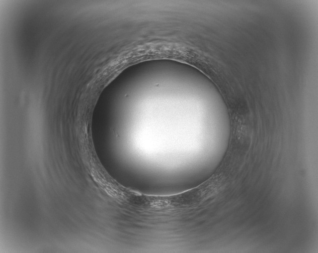 X0000059051489200510100958