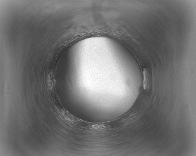 X0000059051491200510100958