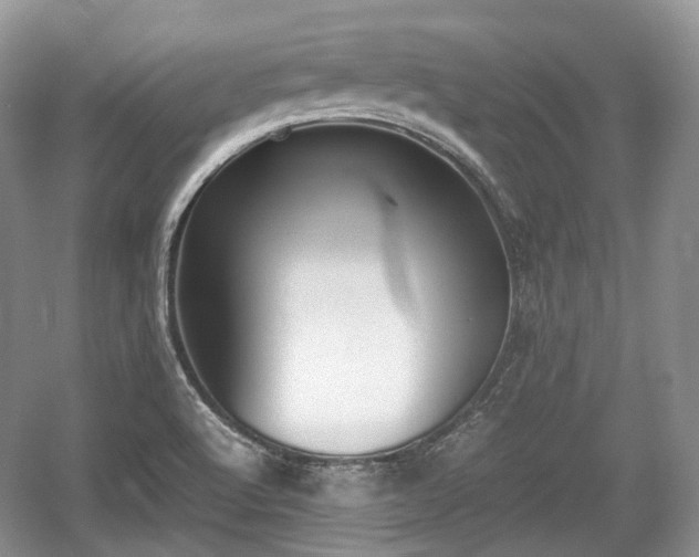 X0000059051512200510100958