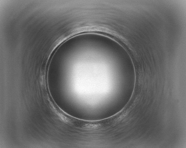 X0000059051513200510100958