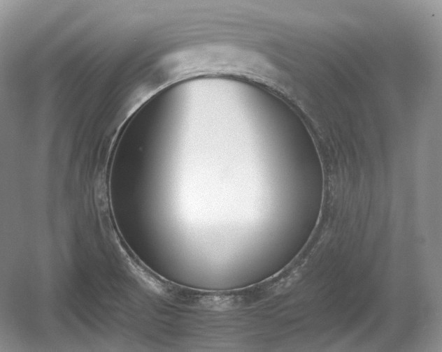 X0000059051521200510100958