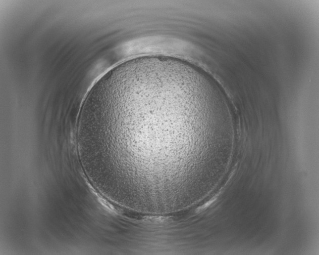 X0000059051529200510100958