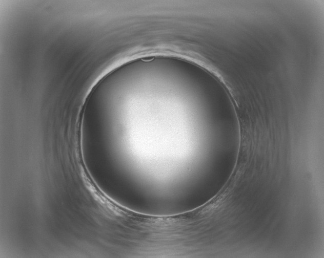 X0000059051534200510100959