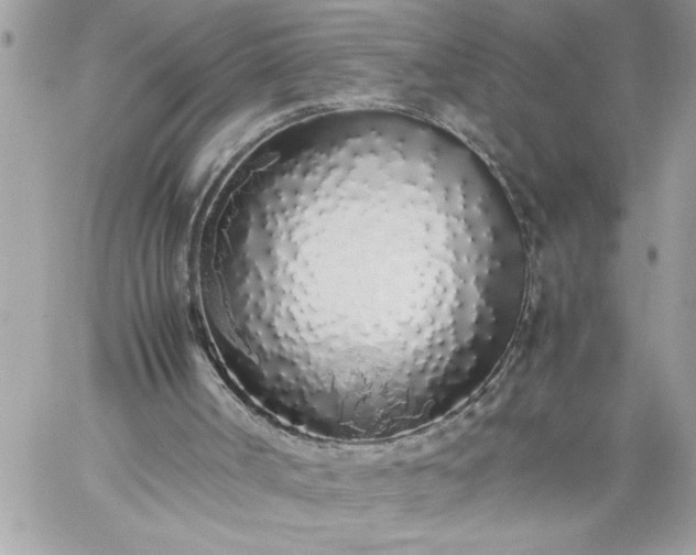 X0000059050002200510171926