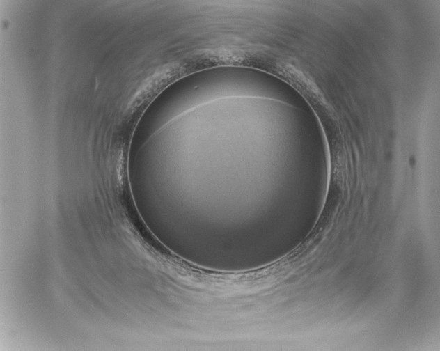 X0000059050023200510171925