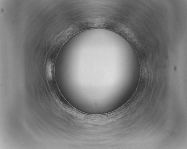 X0000059050026200510171925