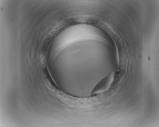 X0000059050031200510171925