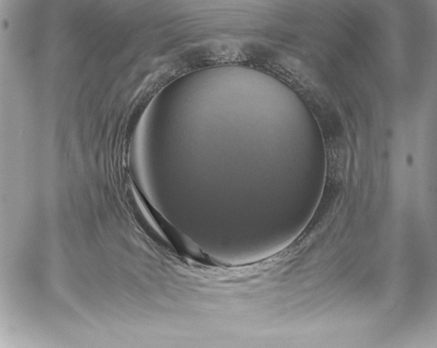 X0000059050035200510171925