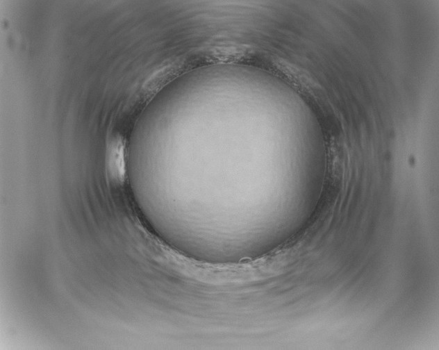 X0000059050042200510171925