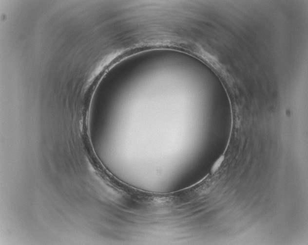 X0000059050060200510171924
