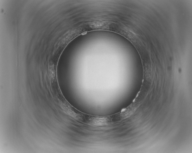 X0000059050085200510171925