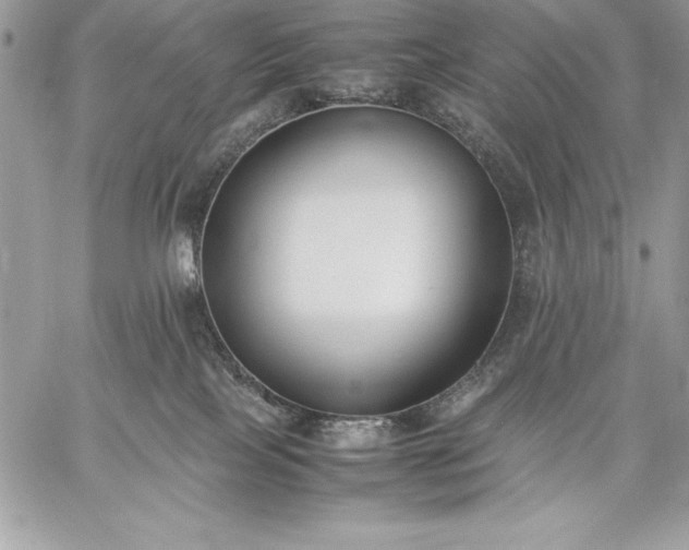 X0000059050089200510171925