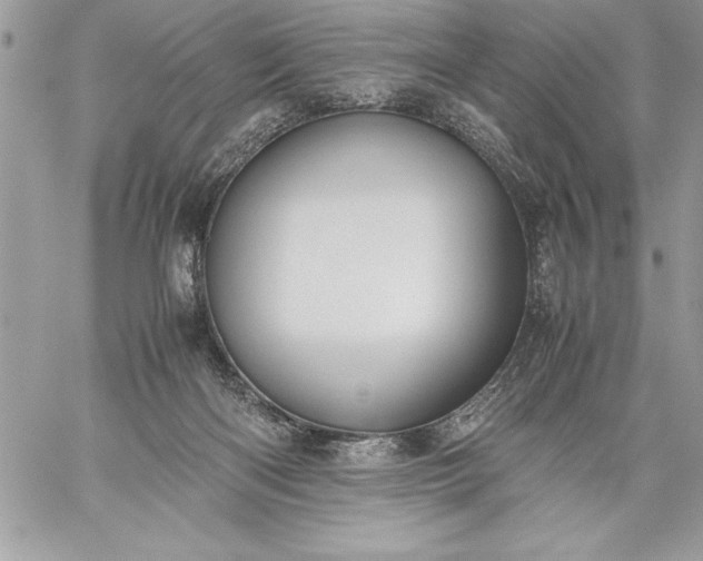 X0000059050122200510171924