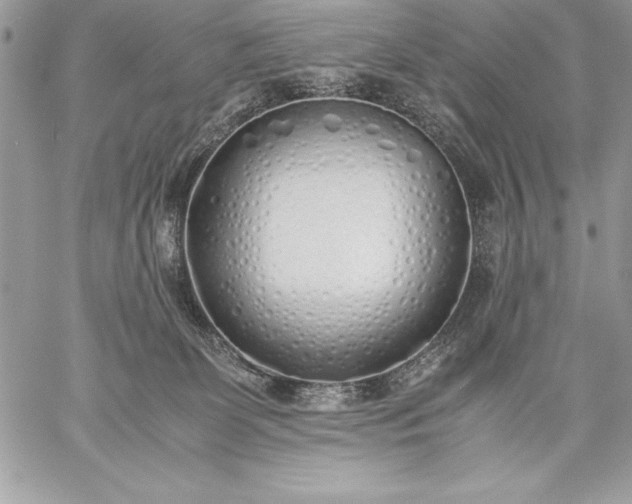 X0000059050131200510171924