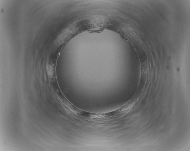 X0000059050139200510171924