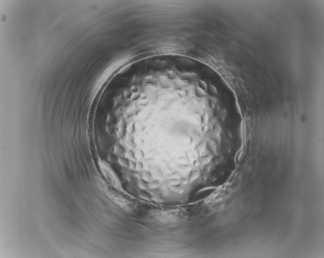X0000059050147200510171923