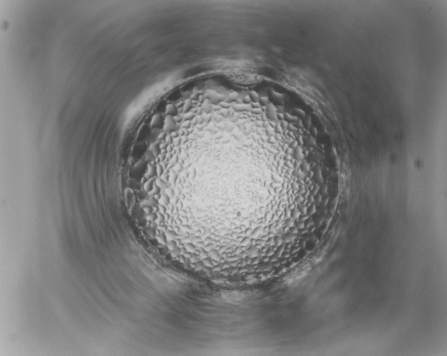 X0000059050149200510171923