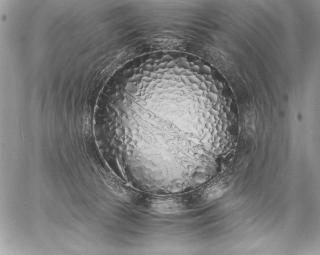 X0000059050177200510171923