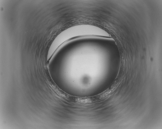 X0000059050185200510171923