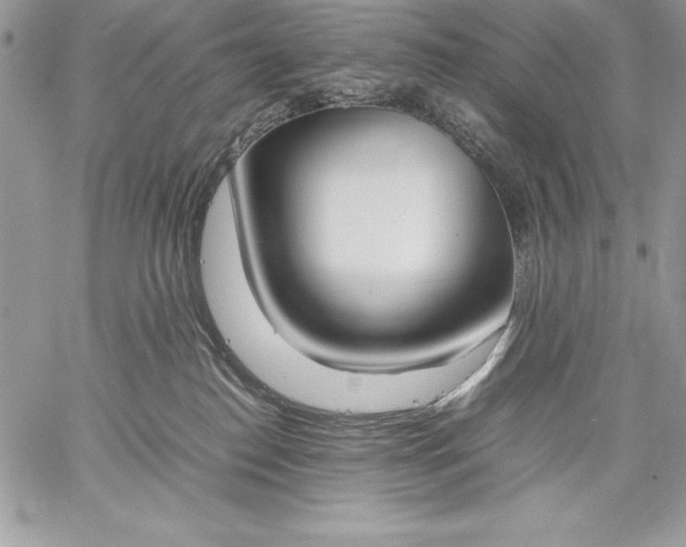X0000059050186200510171923