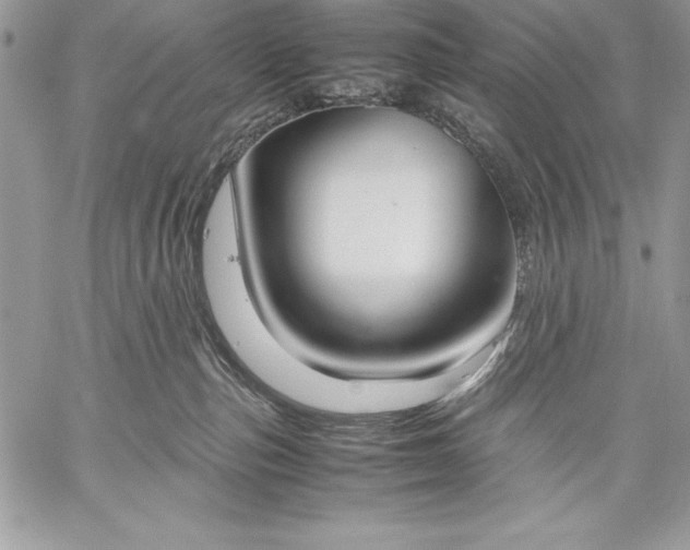 X0000059050187200510171923