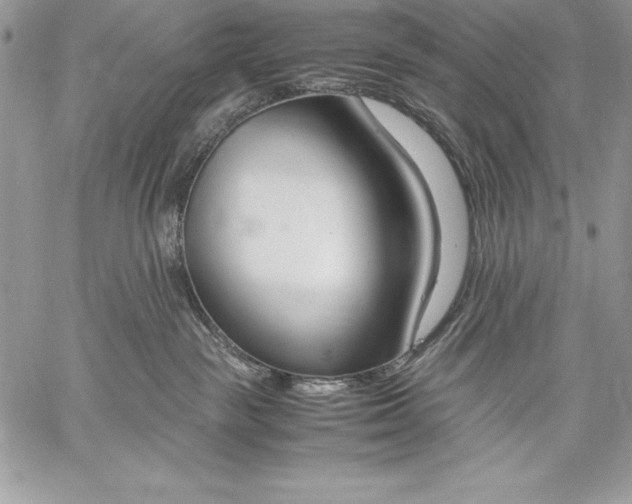 X0000059050189200510171923