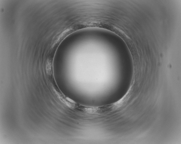 X0000059050192200510171923