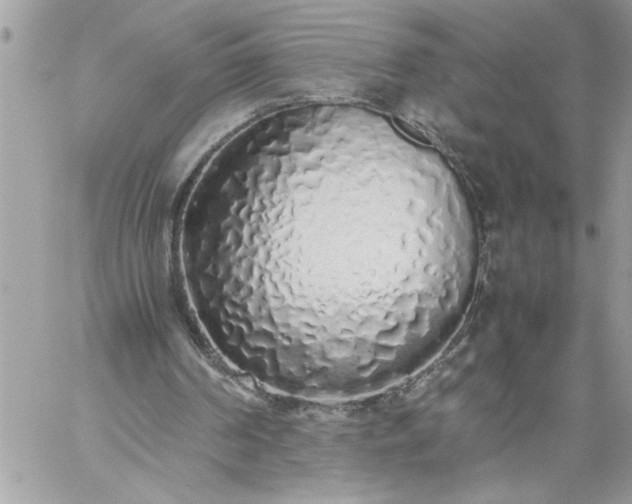 X0000059050194200510171923