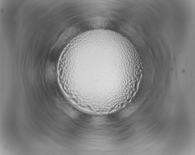 X0000059050240200510171922