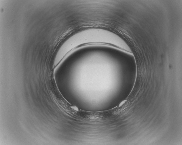 X0000059050264200510171921