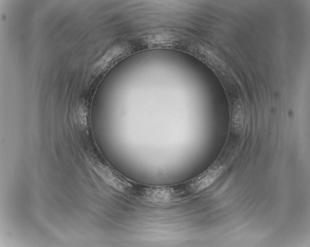X0000059050282200510171922