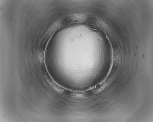 X0000059050285200510171922
