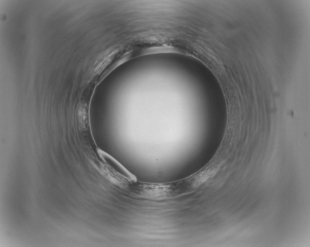 X0000059050288200510171922