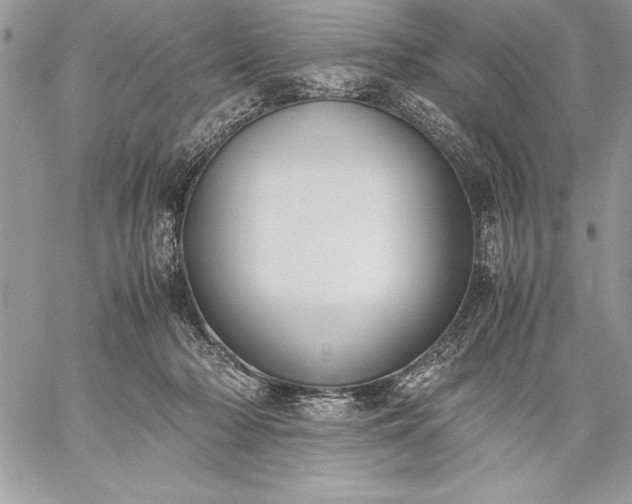 X0000059050318200510171921