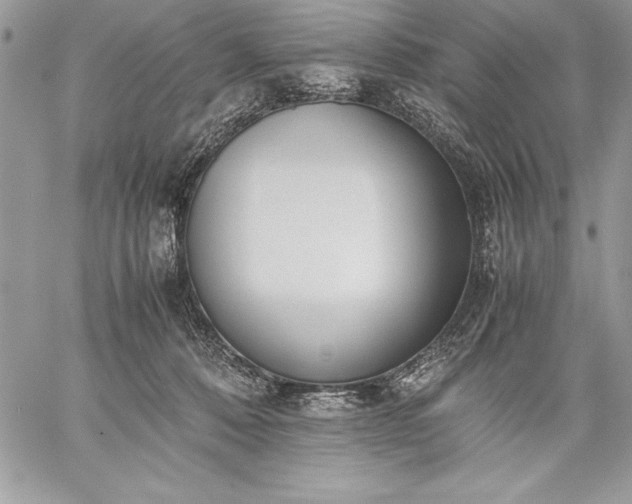 X0000059050320200510171921