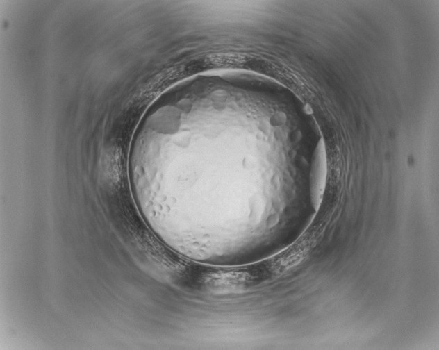 X0000059050323200510171921