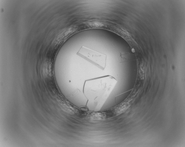 X0000059050330200510171920