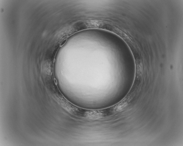 X0000059050331200510171920