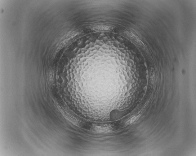 X0000059050359200510171920