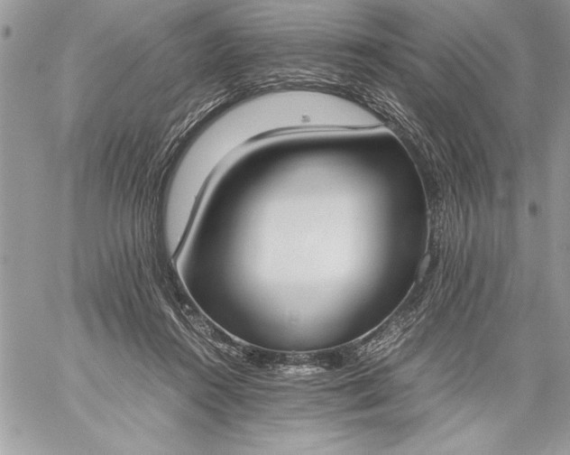 X0000059050360200510171920