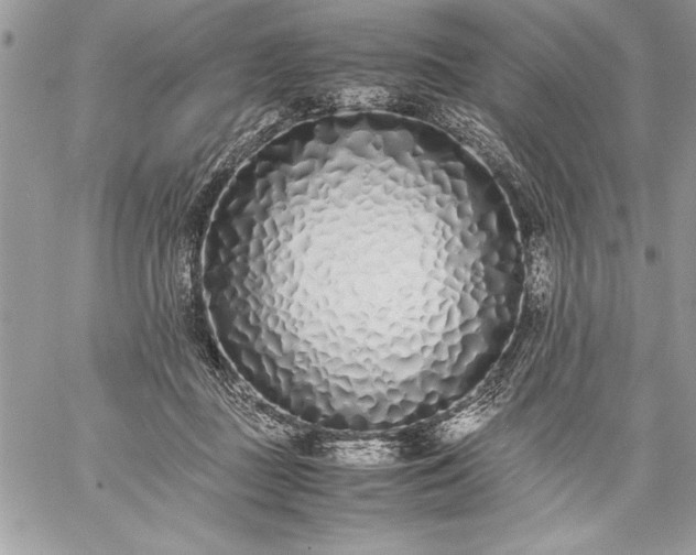 X0000059050363200510171920