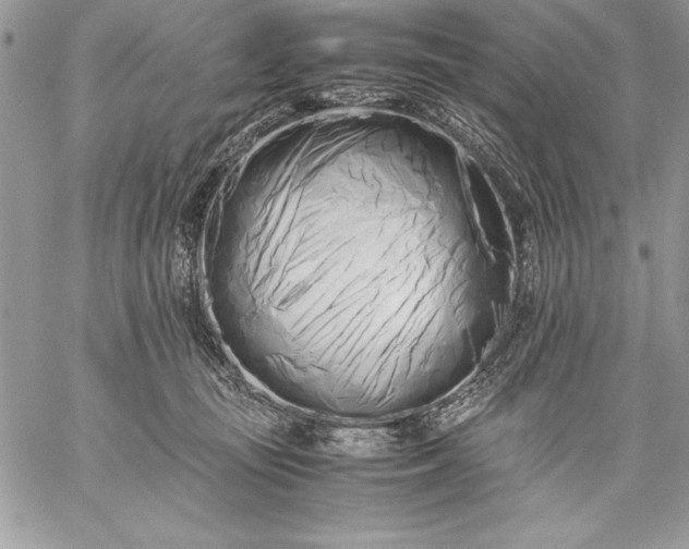 X0000059050371200510171920