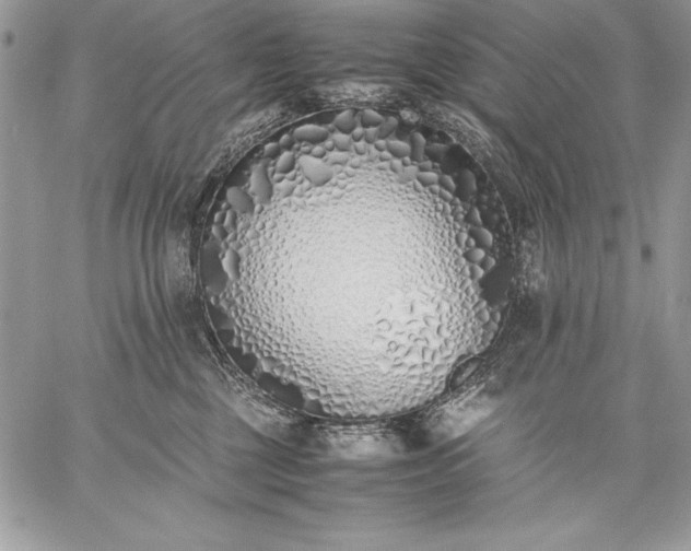 X0000059050377200510171920