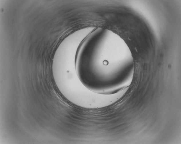 X0000059050383200510171920