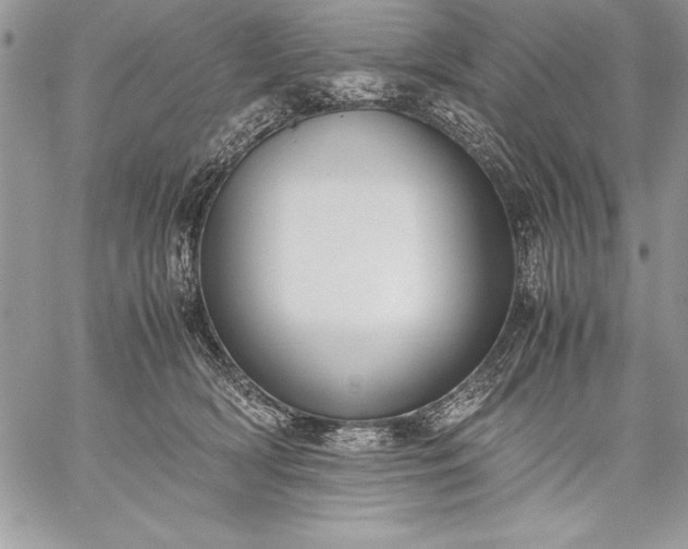 X0000059050418200510171919