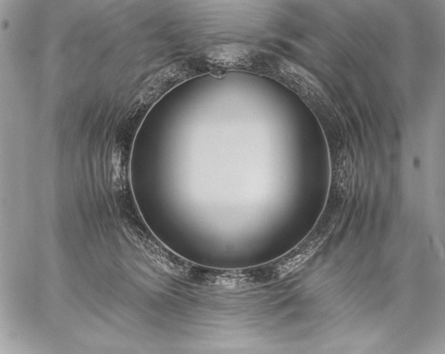 X0000059050420200510171919