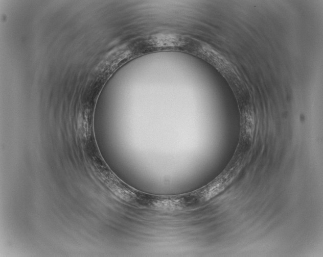 X0000059050422200510171919